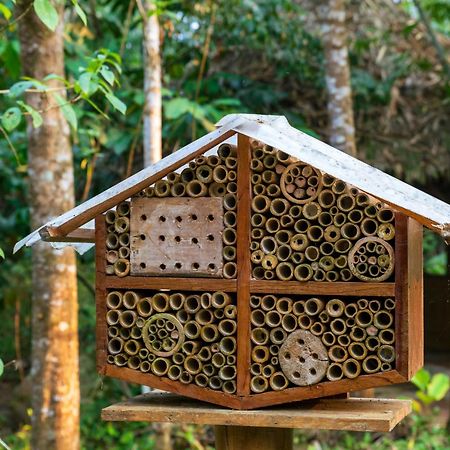 Bosque Guardian Lodge Тарапото Екстериор снимка