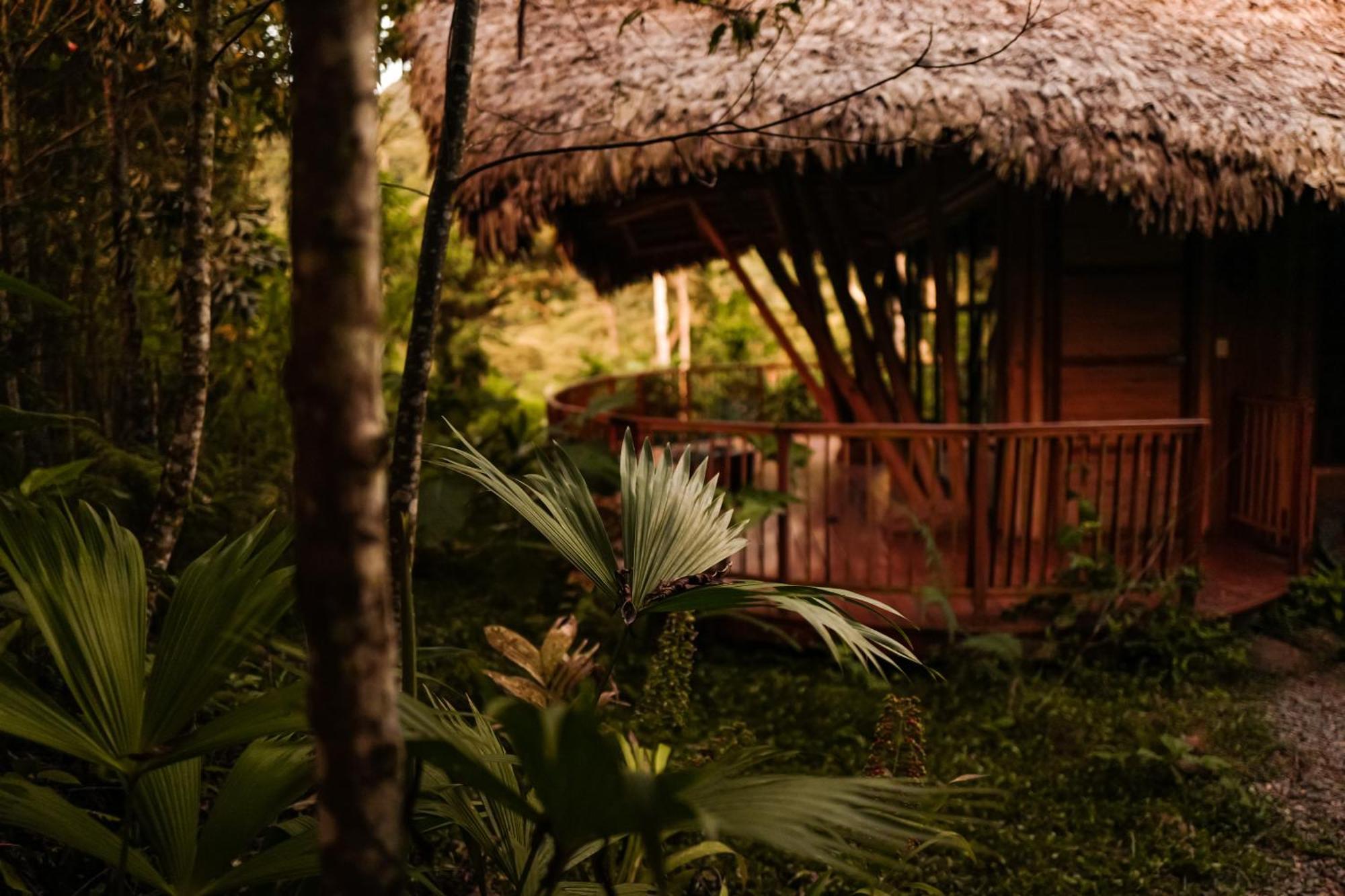 Bosque Guardian Lodge Тарапото Екстериор снимка