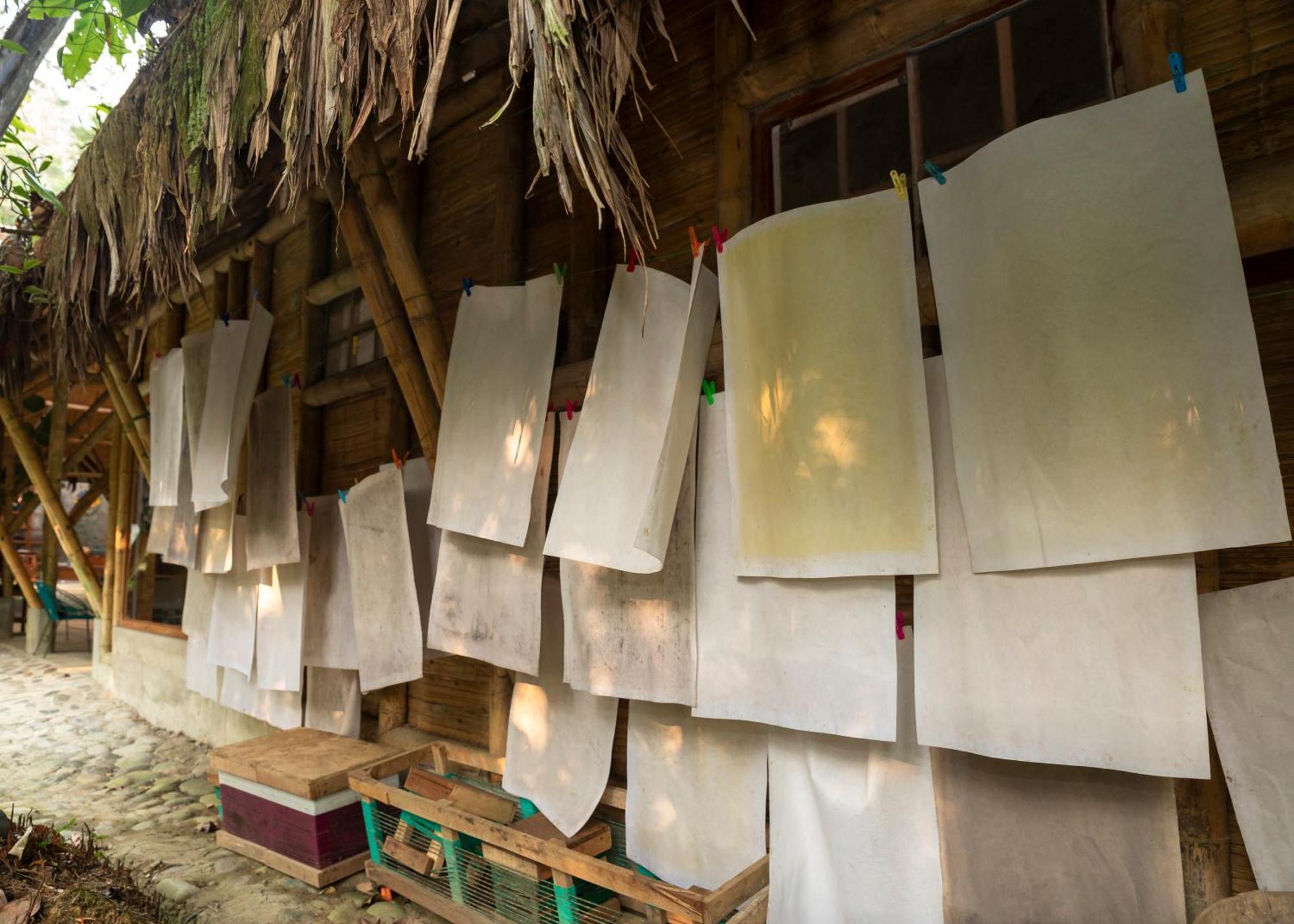 Bosque Guardian Lodge Тарапото Екстериор снимка
