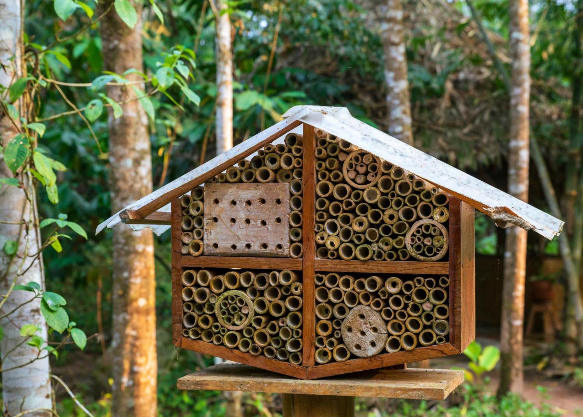 Bosque Guardian Lodge Тарапото Екстериор снимка
