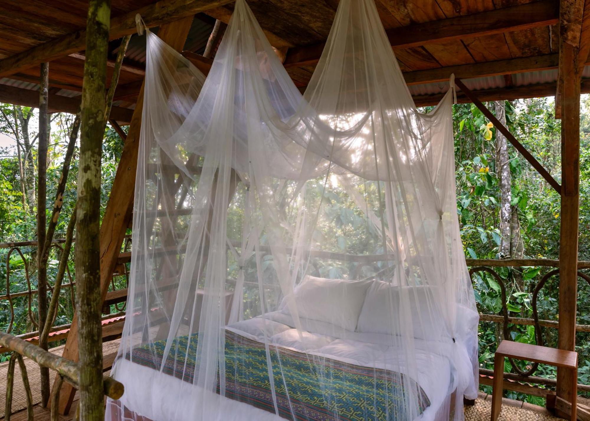 Bosque Guardian Lodge Тарапото Екстериор снимка