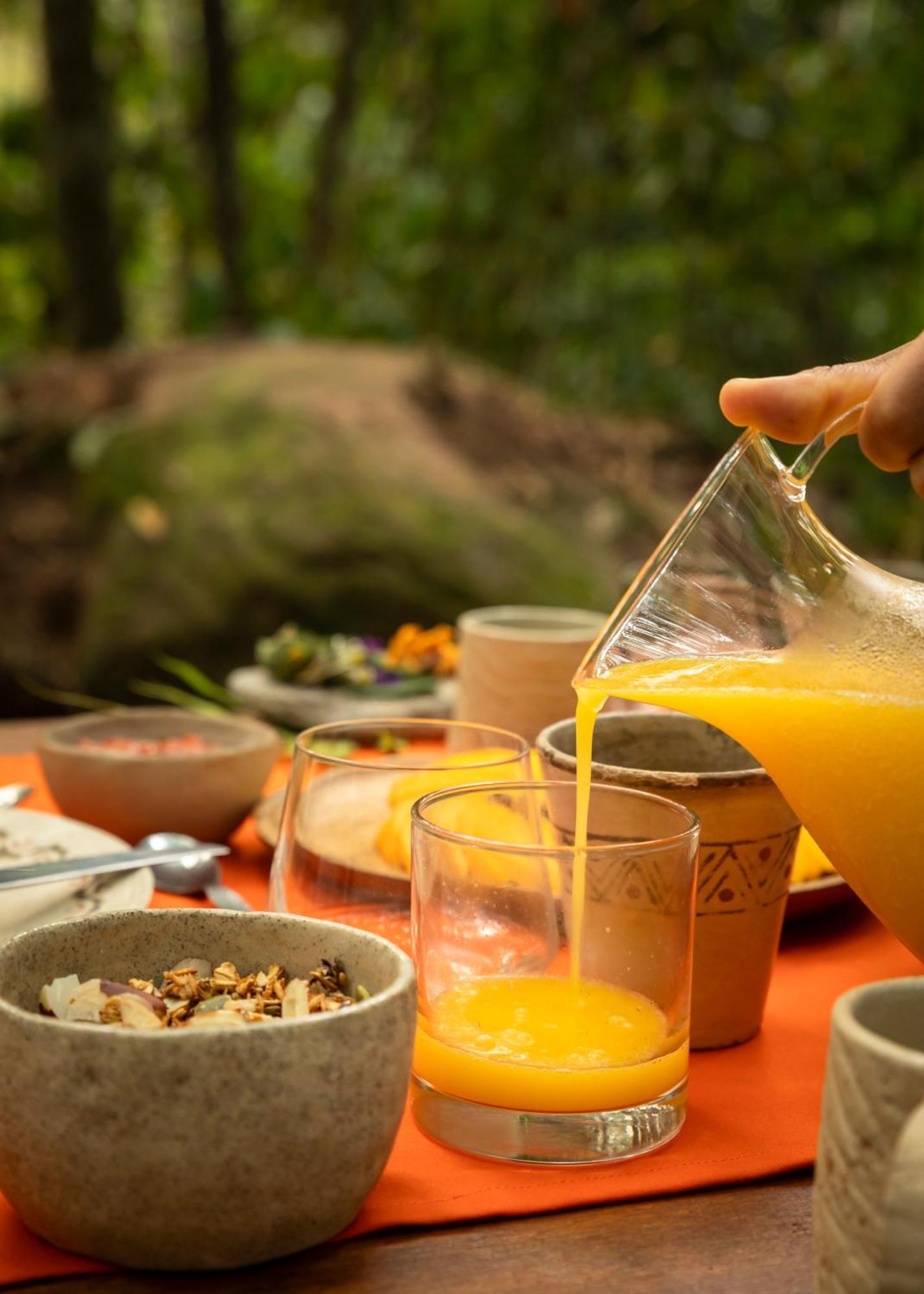 Bosque Guardian Lodge Тарапото Екстериор снимка