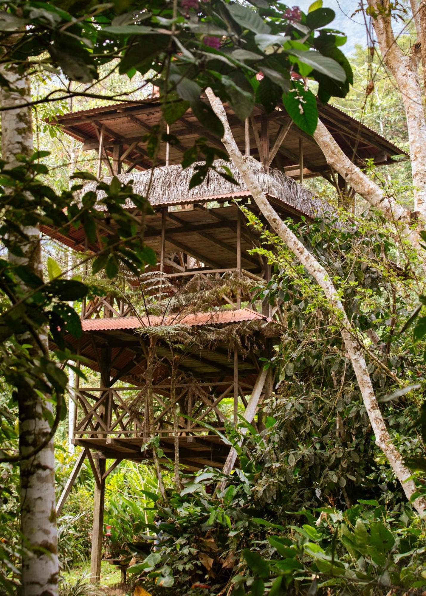 Bosque Guardian Lodge Тарапото Екстериор снимка